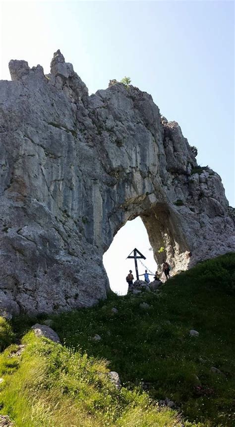 fossili porta di prada|porta di prada via cainallo.